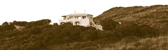View of the house in 1998